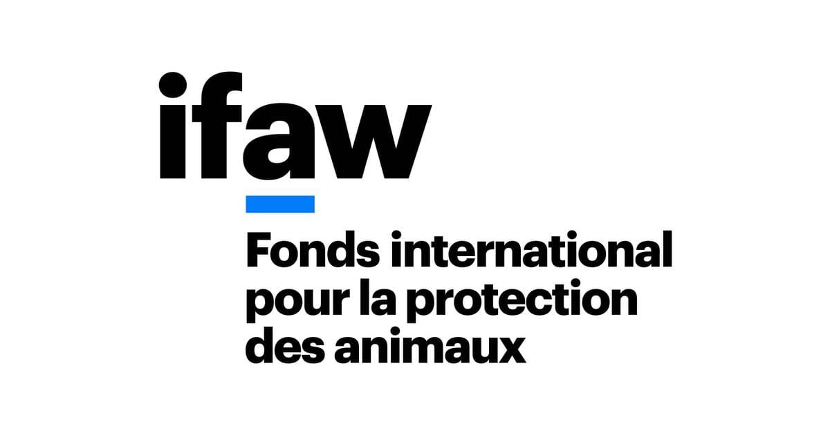 Partenaire IFAW